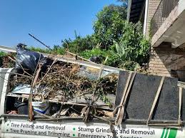 Reliable Delshire, OH Junk Removal Solutions